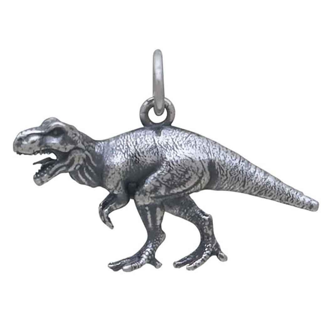 Sterling Silver T-Rex Dinosaur Charm 18x24mm
