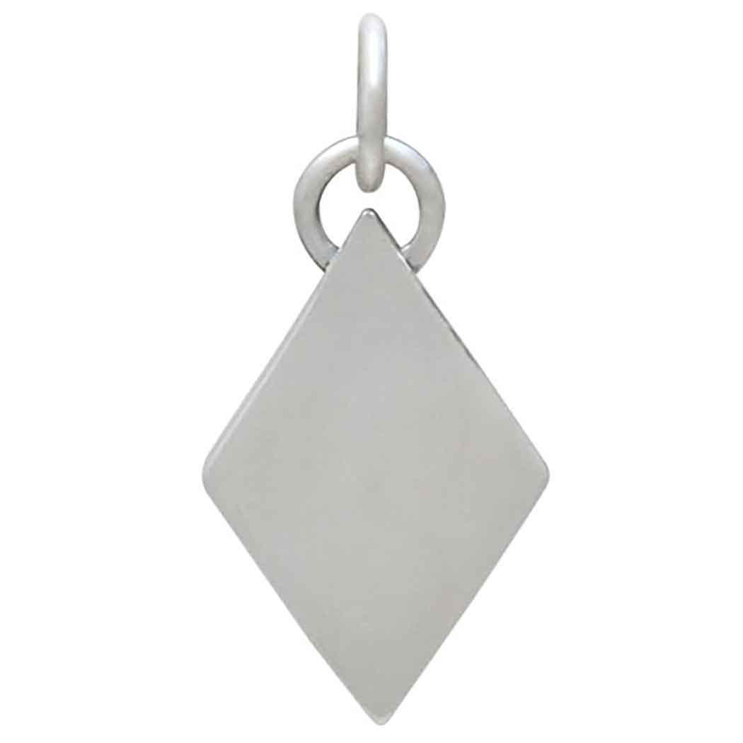 Mixed Metal Snake Shadow Box Charm 21x10mm