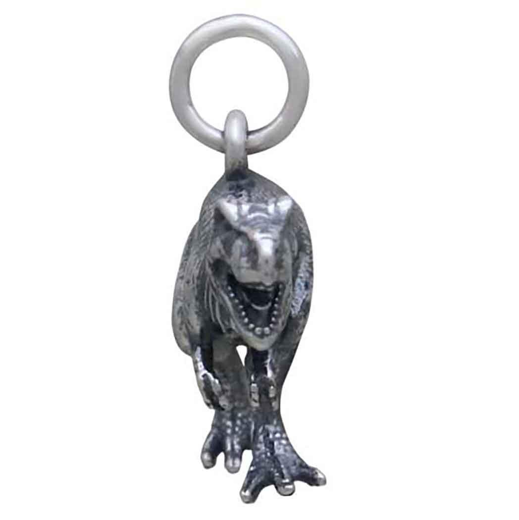 Sterling Silver T-Rex Dinosaur Charm 18x24mm