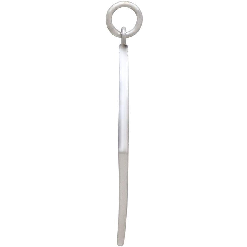 Sterling Silver Cactus Charm in Diamond Frame 33x20mm