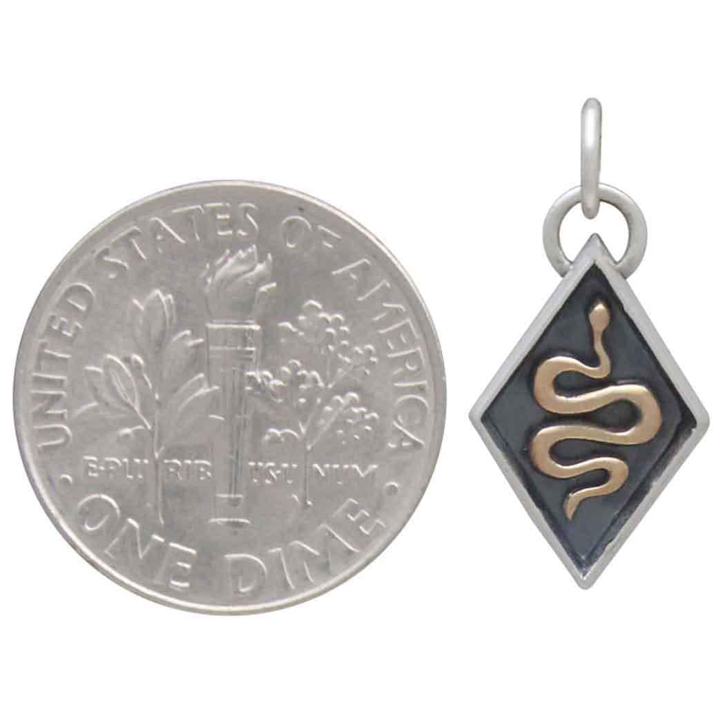 Mixed Metal Snake Shadow Box Charm 21x10mm